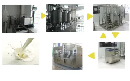 Mini Dairy Plant: Camel Milk Powder Processing Equipment