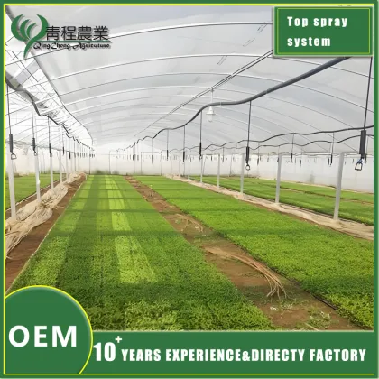 Efficient Top Irrigation System Solutions