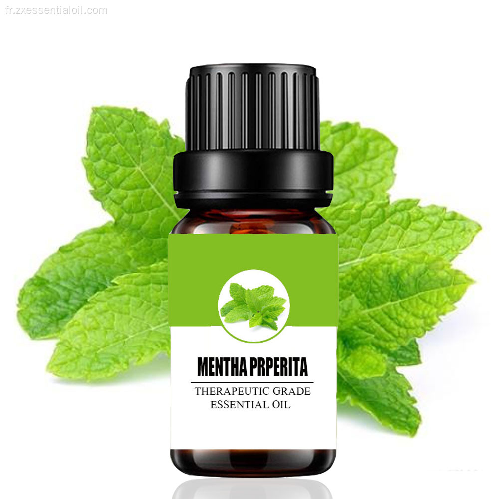 Huile essentielle pure de mentha piperita d&#39;approvisionnement d&#39;usine