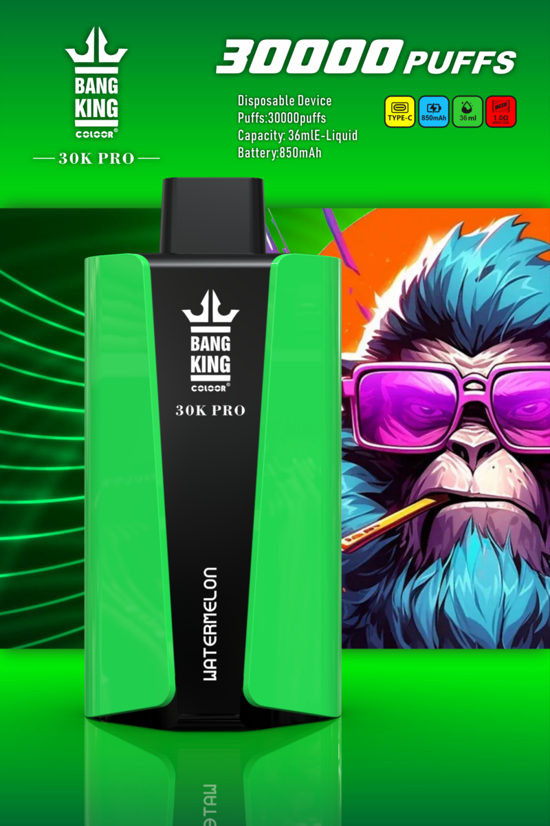 Bang King 30000 Pro Newest Disposable Vape Wholesale
