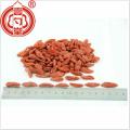 Superfood tradizionale Ningxia Red Goji Berries