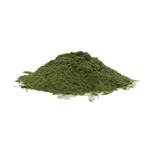 Organic Barley Grass Powder Bulk