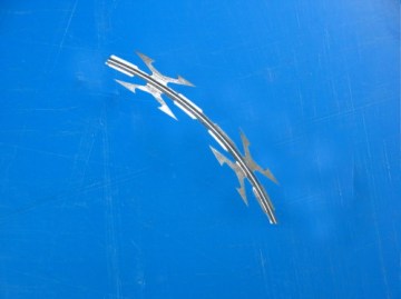 Security wire