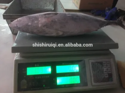 canned tuna ,bonito tuna