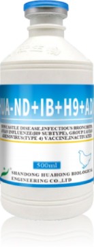 ND IB H9 FAdV-4 Inactivated Vaccine
