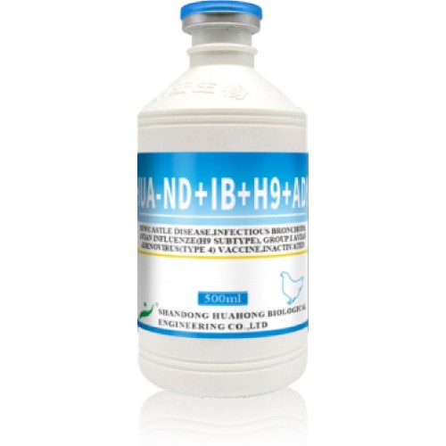 ND IB H9 FAdV-4 Vaccin inactivat