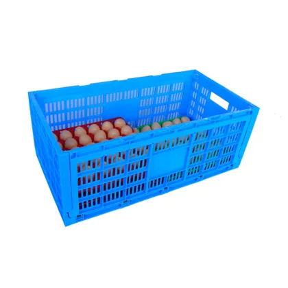 30-Egg Reusable Plastic Incubator and Egg Tray for Chicken Eggs