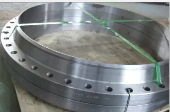 China Steel Blind Pipe Flange Manufacturer