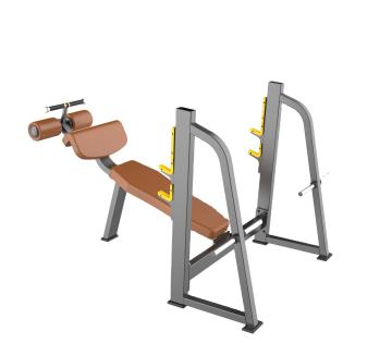 Decline Bench Press Equipment for Gym and Home Fitness