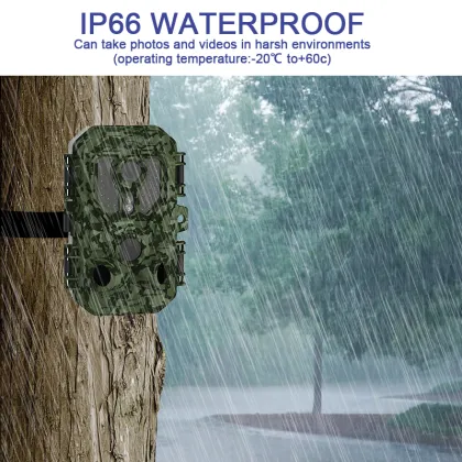 High-Definition Wireless Wildlife Camera with Night Vision