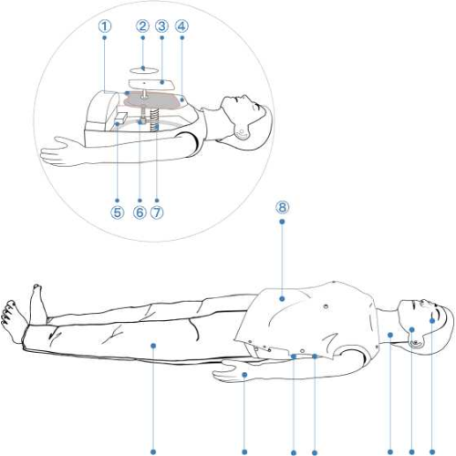 Medical Training Manikin Advanced CPR Training Manikin–Computer/Tablet Control Manufactory