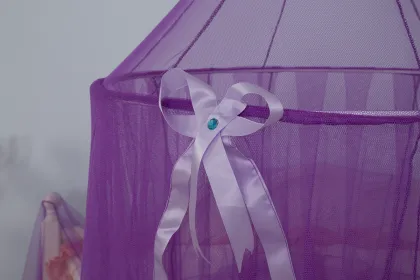 Purple Princess Mosquito Net Bed Canopy With Ribbon