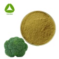 Poudre d'extrait de graines de brocoli 10:1 sulforaphane glucoraphanine