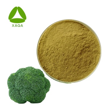Broccoli Seed Extract Powder 10:1 Sulforaphane Glucoraphanin