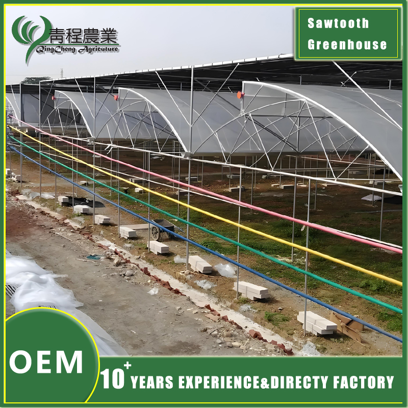 Sawtooth Greenhouse With Ex-Shading System