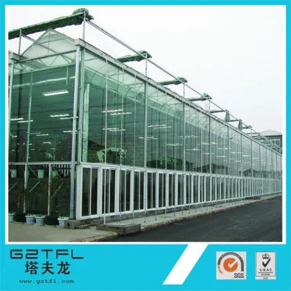 Economical greenhouse/Vegetable greenhouse/Flower greenhouse/Seeding greenhouse