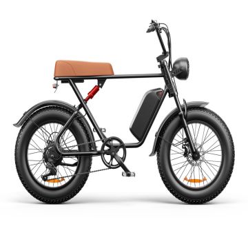 20 Inch Fat Tire Electric Bikes Motorcycle