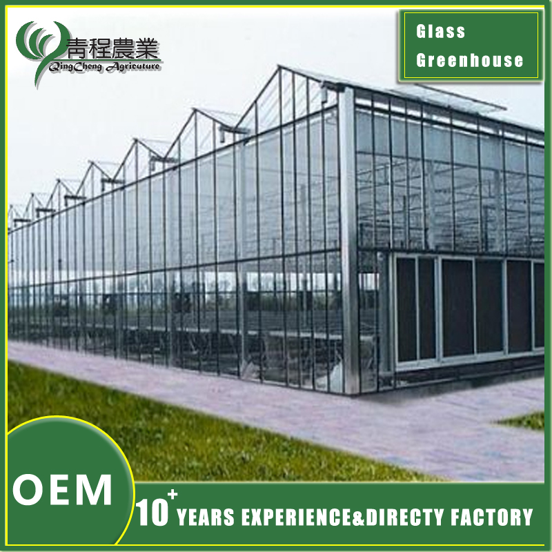 Glass Greenhouse Without Shade Systems