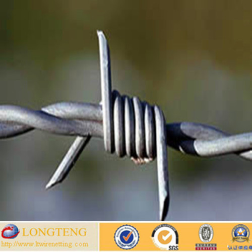 China Supplier Hot Sales Safety Barbed Wire (lt-691)