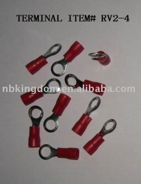 # RV2-4 Terminal &amp; Stecker