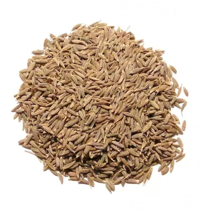 Wholesale Supplier of Premium Quality Dried Cumin Seeds and Whole Dry Cumin