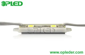 0.48w 5050 Smd Led Module Outdoor , Rgb 2 Led Module For Signage