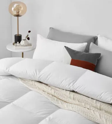 Luxury Spring-Autumn Goose Down Feather Quilt