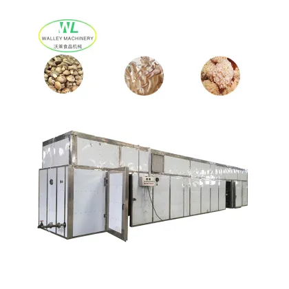 Customizing Industrial Tray Drying for Mushroom/Tremella Tunnel Dryers