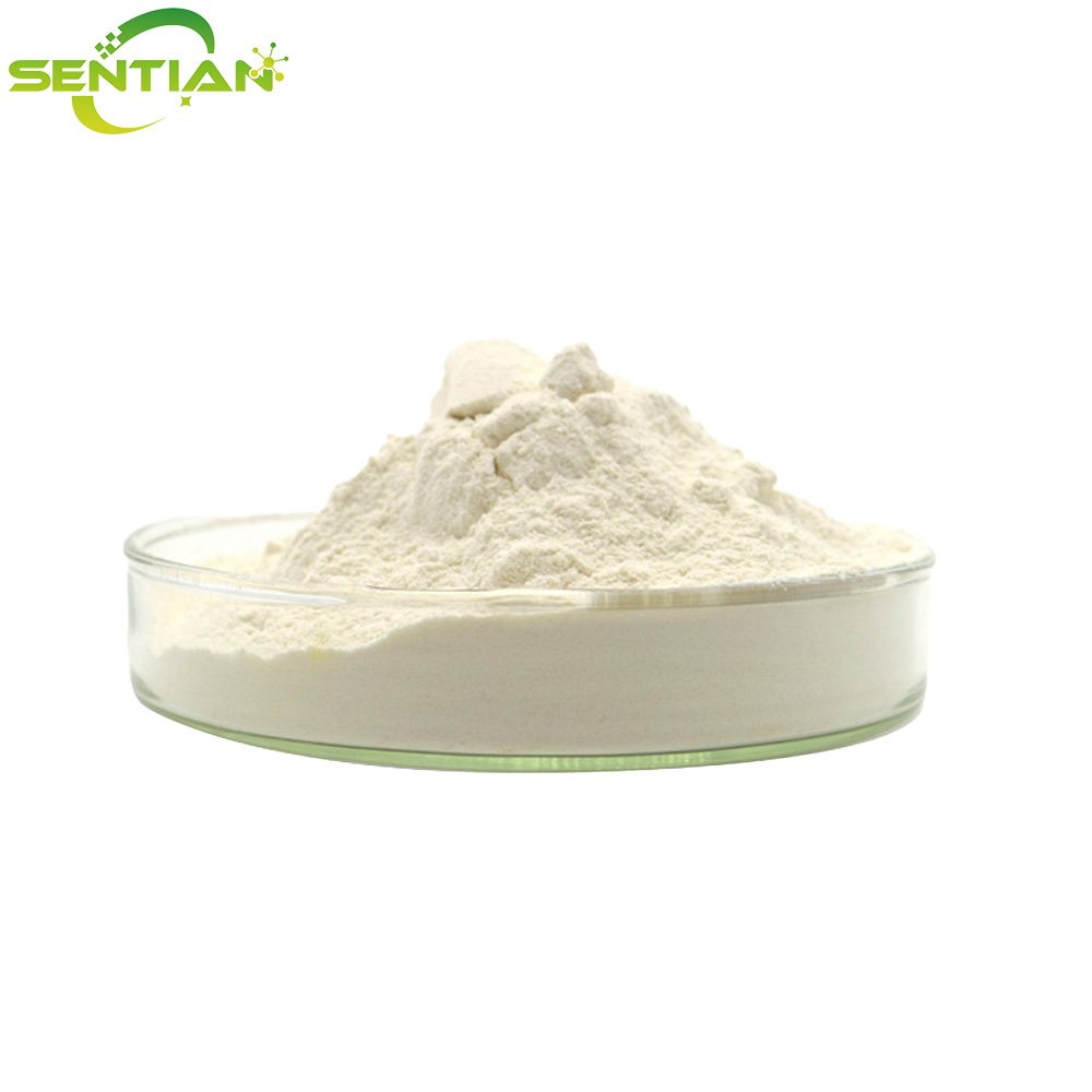 Royal Jelly Powder