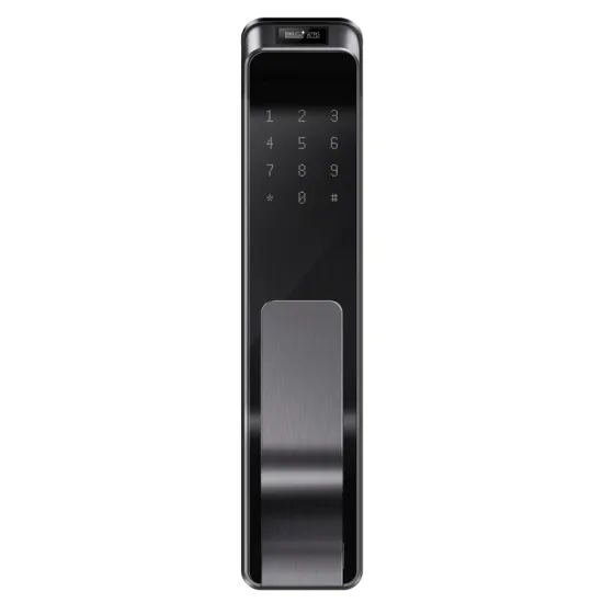 Face Recognition Aluminum Smart Door Lock