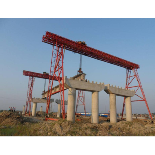 Elevador de construcción de calidad con puerta de solapa