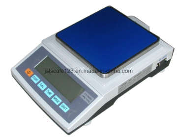 Precision Scale/Weighing Balance (ES-H)