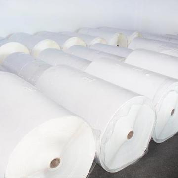 Semigloss Paper Thermal Label Jumbo Roll