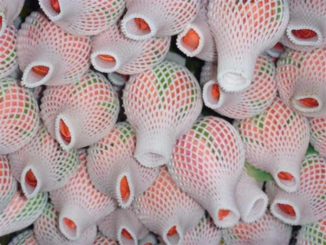EPE foam protective sleeve net for fruit/flower/vegetable