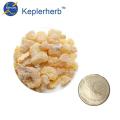 Boswellia carterii estratto in polvere