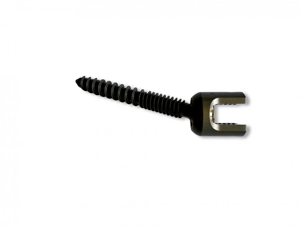 Veterinary Spinal Implants Pedicle Screw