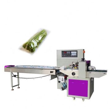Automatic Produce Packing and Vending Machinery