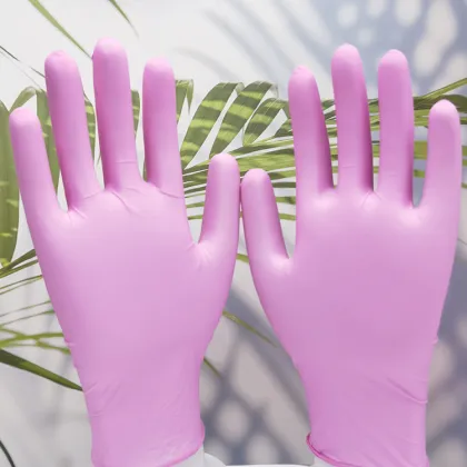 Disposable Housework Gloves Nitrile Gloves