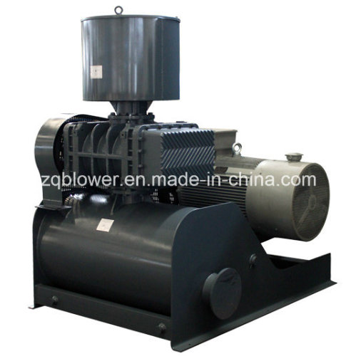 Pneumatic Conveying System Roots Blower- (ZG-200)