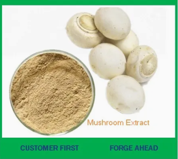 High Purity Pure Natural White Button Mushroom Extract