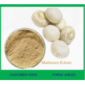 High Purity Pure Natural White Button Mushroom Extract