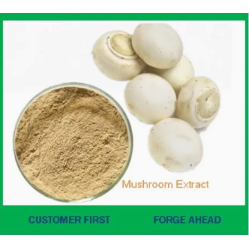 High Purity Pure Natural White Button Mushroom Extract
