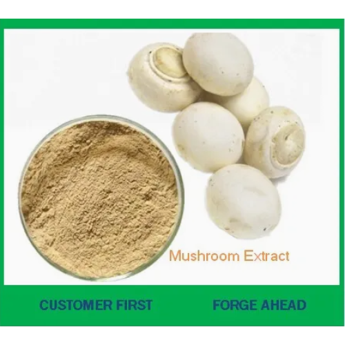 High Purity Pure Natural White Button Mushroom Extract