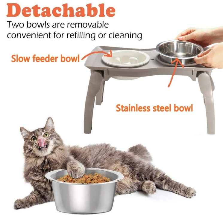 Pet Food Water Feeder Bowls