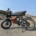 ZM21 Basic Electric Fat Bike