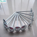 Zinc Plated Umbrella Roofing Nails