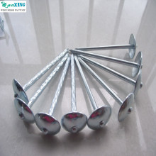 Roofing Nail Galvanized Umbrella Roofing Nail