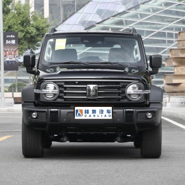 Hot Sale Cheapest Automatic 4X4 SUV: Great Wall Tank 300 Used Car