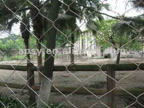 Lion Enclosure Mesh