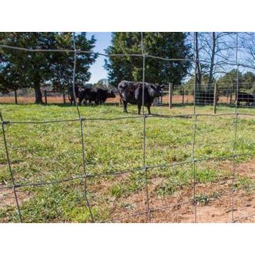 Filo per recinzione anticorrosione